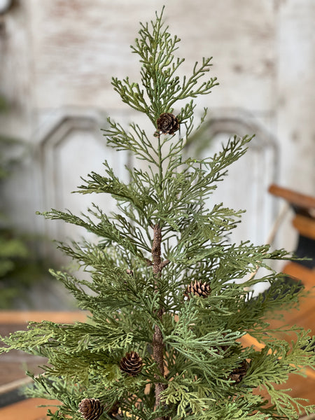 North Rim Hemlock Tree | 24" | SOLD OUT