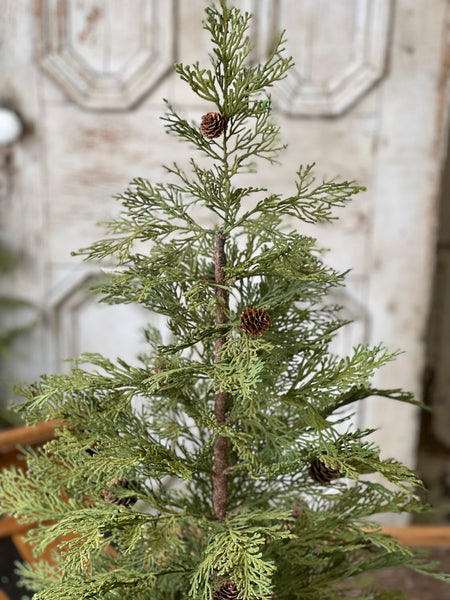 North Rim Hemlock Tree | 36" | SOLD OUT