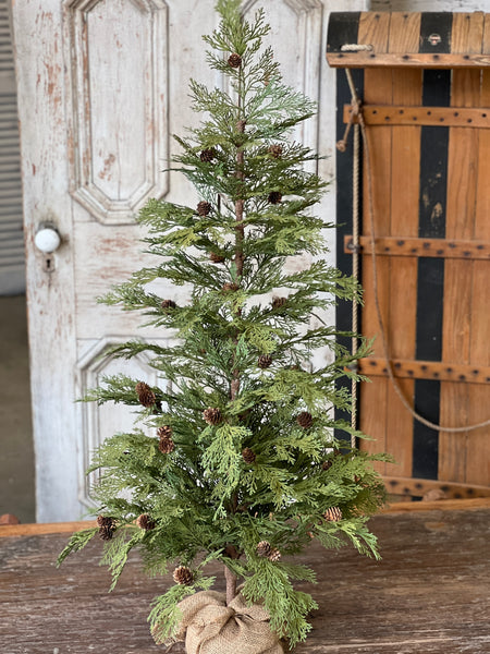 North Rim Hemlock Tree | 48" | SOLD OUT