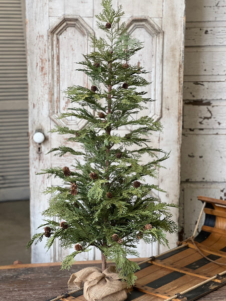North Rim Hemlock Tree | 48" | SOLD OUT