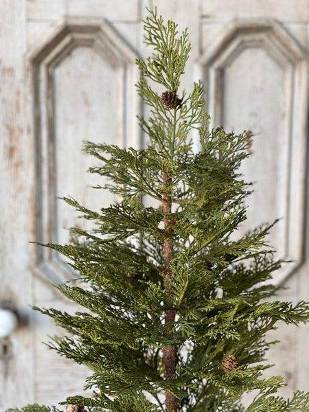 North Rim Hemlock Tree | 5' | SOLD OUT