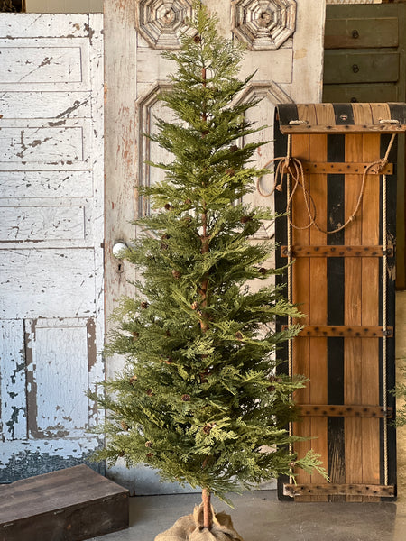 North Rim Hemlock Tree | 6' | SOLD OUT