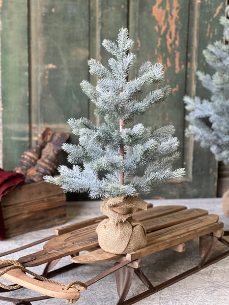 Frosted Finland Pine Tree | 24"