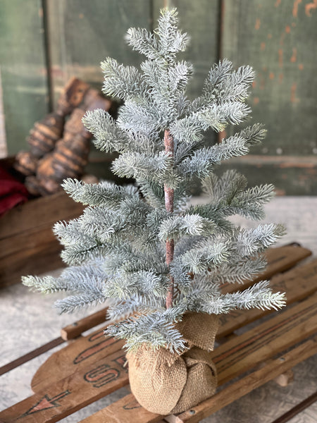 Frosted Finland Pine Tree | 24"