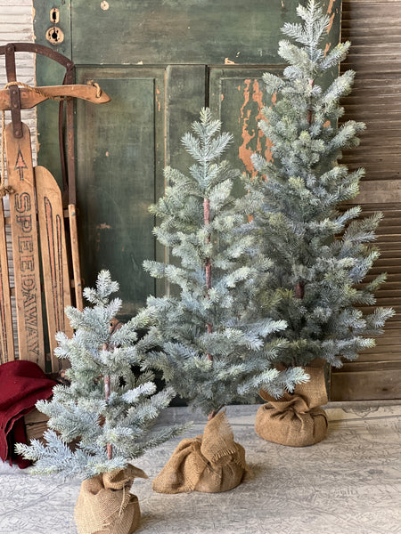 Frosted Finland Pine Tree | 24"