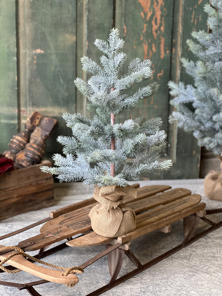 Frosted Finland Pine Tree | 24"