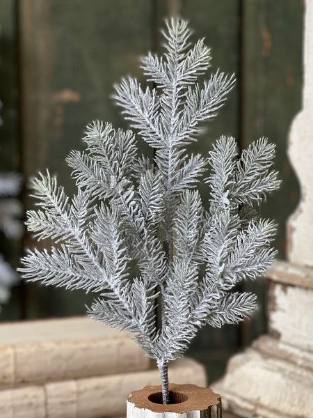 Snowy Sitka Spruce Spray | 20"
