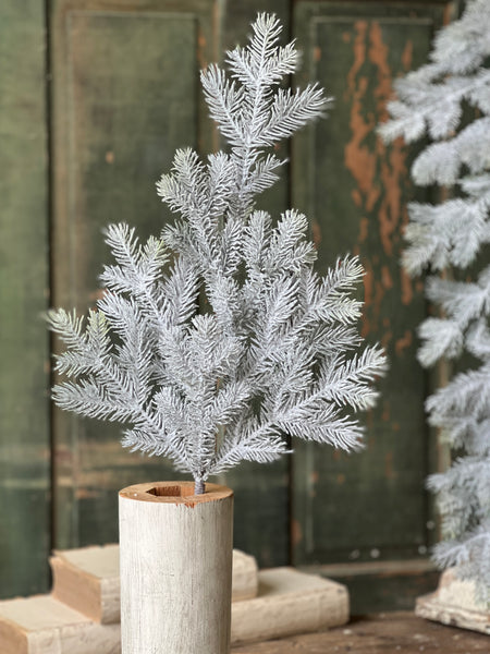 Snowy Sitka Spruce Spray | 30" | SOLD OUT