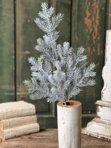 Snowy Sitka Spruce Spray | 30" | SOLD OUT