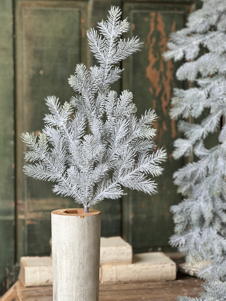 Snowy Sitka Spruce Spray | 30" | SOLD OUT