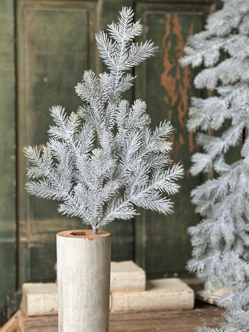 Snowy Sitka Spruce Spray | 30" | SOLD OUT