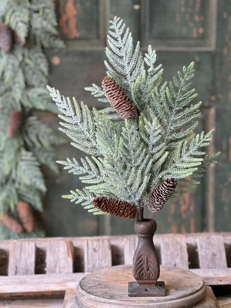 Glittering Plume Pine Bush | 22"