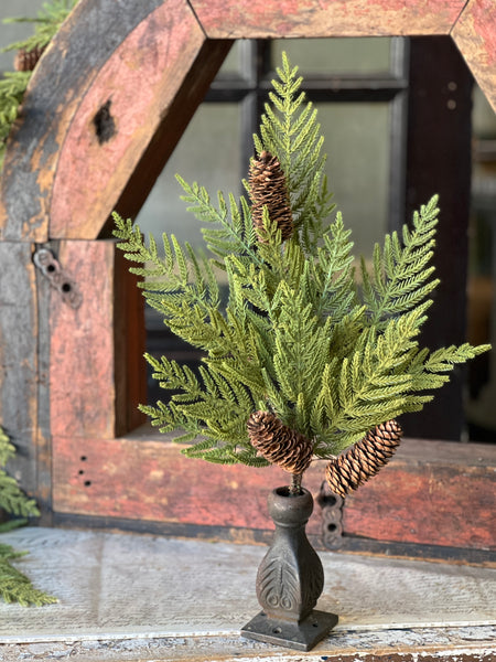 Arrow Wood Cedar Bush | 22"