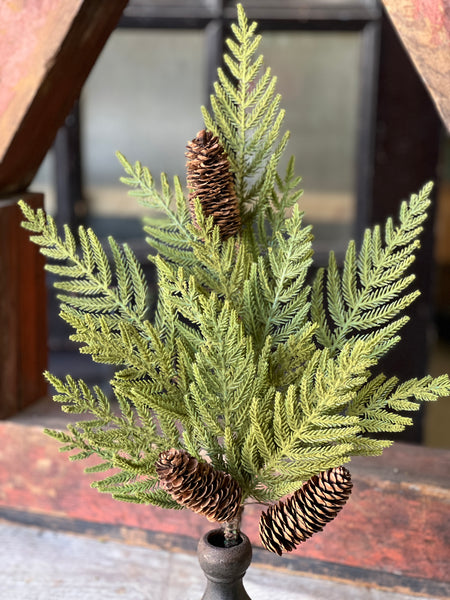 Arrow Wood Cedar Bush | 22"