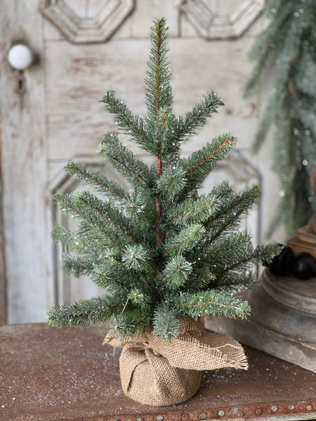 Icy Northlight Pine Tree | 24"