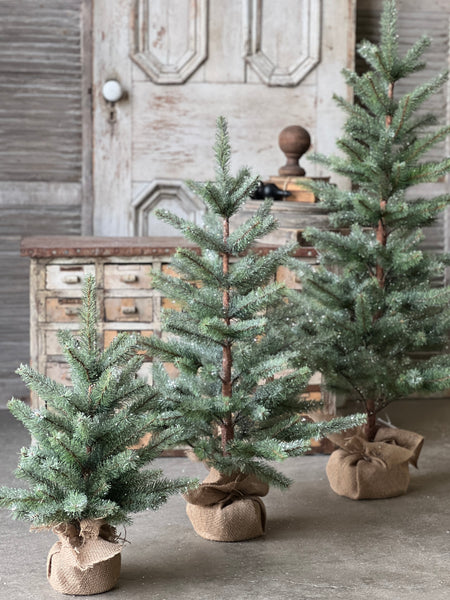 Icy Northlight Pine Tree | 36" | Limited Stock - Last 24pcs!