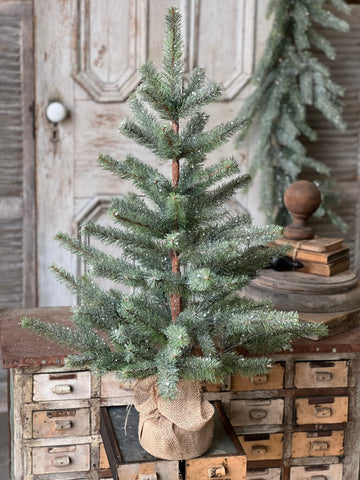 Icy Northlight Pine Tree | 36" | Limited Stock - Last 24pcs!