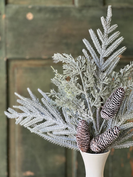 Winter Splendor Pine Spray | 22" | SOLD OUT