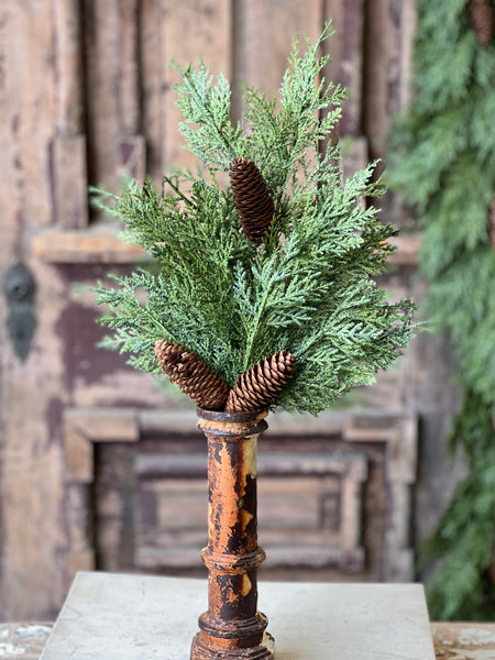 Celtic Cedar Spray | 22" | SOLD OUT