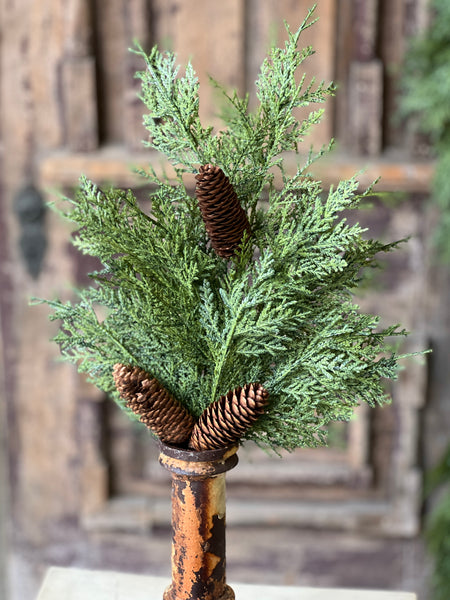 Celtic Cedar Spray | 22" | SOLD OUT