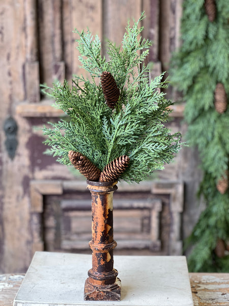 Celtic Cedar Spray | 22" | SOLD OUT