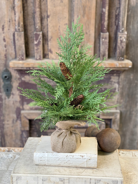 Celtic Cedar Tree | 18" | NOT CURRENTLY IN STOCK-New For Holiday 2026!