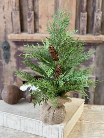 Celtic Cedar Tree | 18" | NOT CURRENTLY IN STOCK-New For Holiday 2026!
