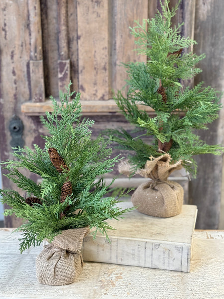 Celtic Cedar Tree | 24" | NOT CURRENTLY IN STOCK-New For Holiday 2026!