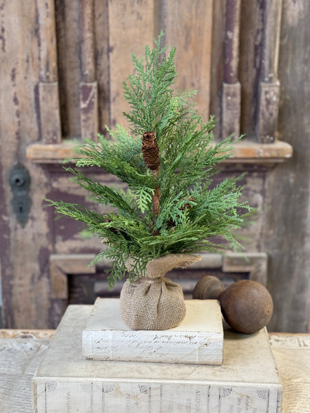 Celtic Cedar Tree | 18" | NOT CURRENTLY IN STOCK-New For Holiday 2026!