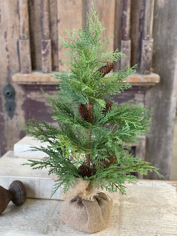 Celtic Cedar Tree | 24" | NOT CURRENTLY IN STOCK-New For Holiday 2026!