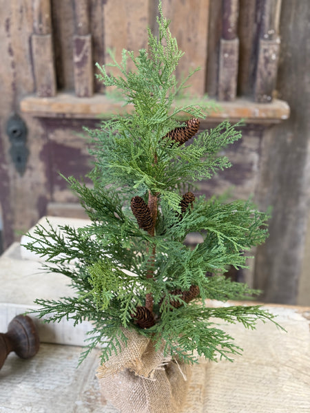 Celtic Cedar Tree | 24" | NOT CURRENTLY IN STOCK-New For Holiday 2026!