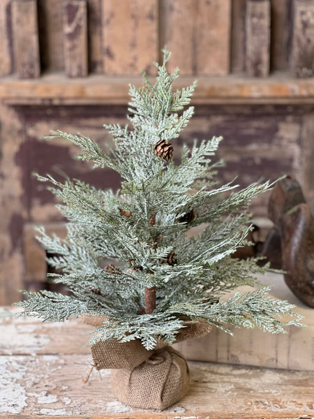 Exalted Evergreen Tree | 18"