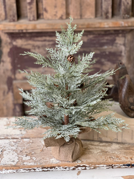Exalted Evergreen Tree | 18"