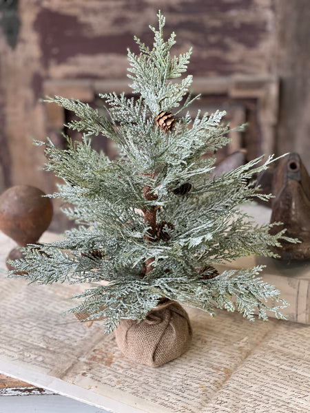 Exalted Evergreen Tree | 18"