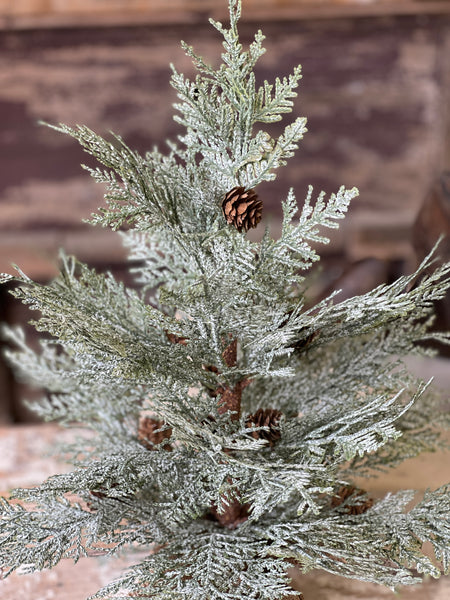 Exalted Evergreen Tree | 24"