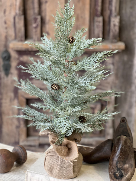 Exalted Evergreen Tree | 24"