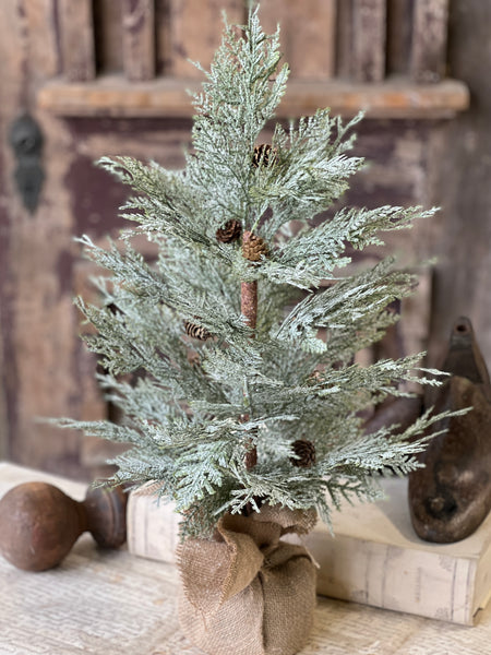 Exalted Evergreen Tree | 24"