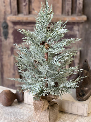 Exalted Evergreen Tree | 24"