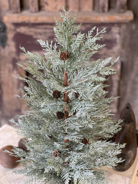 Exalted Evergreen Tree | 30"