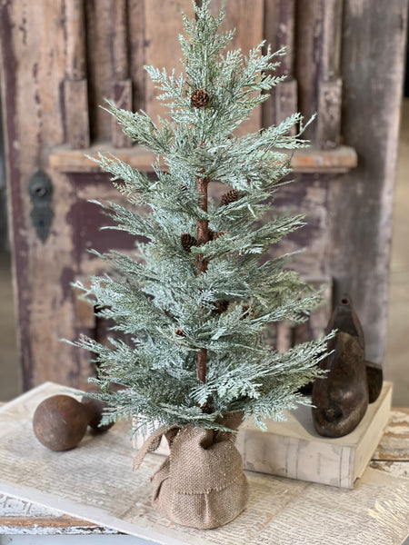 Exalted Evergreen Tree | 30"
