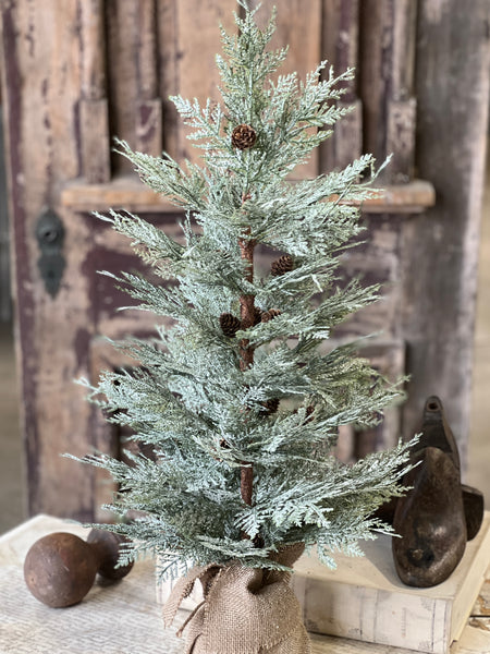 Exalted Evergreen Tree | 30"