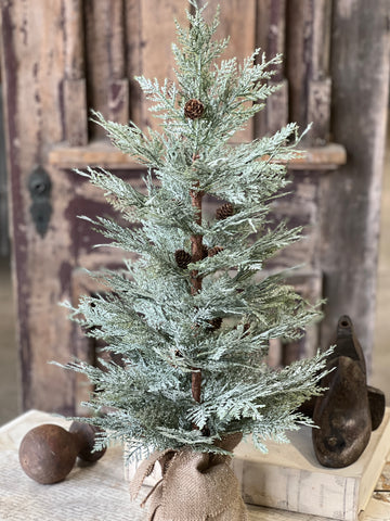 Exalted Evergreen Tree | 30"