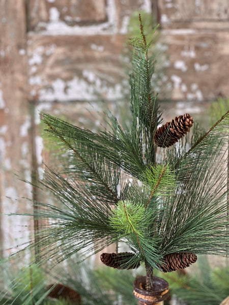 Titan Pine Spray | 30"