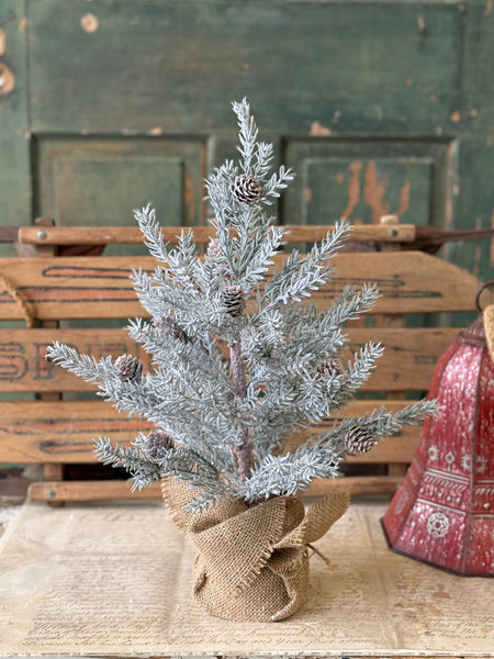 Frosted Arctic Pine Tree | 18" | NOT CURRENTLY IN STOCK-New For Holiday 2026!
