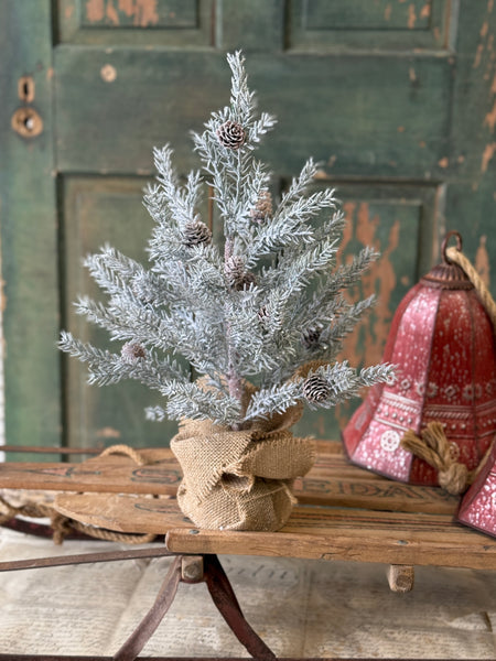 Frosted Arctic Pine Tree | 18" | NOT CURRENTLY IN STOCK-New For Holiday 2026!
