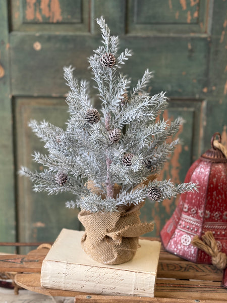 Frosted Arctic Pine Tree | 18" | NOT CURRENTLY IN STOCK-New For Holiday 2026!