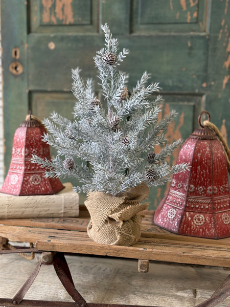Frosted Arctic Pine Tree | 18" | NOT CURRENTLY IN STOCK-New For Holiday 2026!