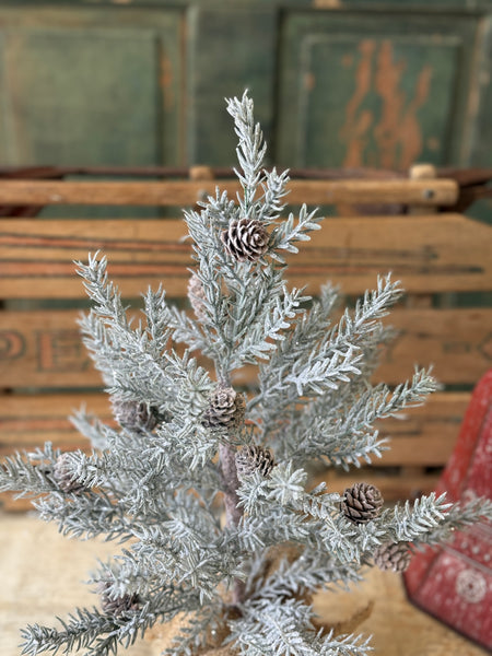 Frosted Arctic Pine Tree | 18" | NOT CURRENTLY IN STOCK-New For Holiday 2026!