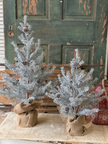 Frosted Arctic Pine Tree | 18" | NOT CURRENTLY IN STOCK-New For Holiday 2026!