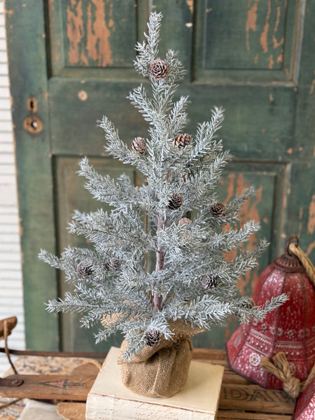 Frosted Arctic Pine Tree | 24" | NOT CURRENTLY IN STOCK-New For Holiday 2026!